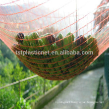 Olive Net harvest net